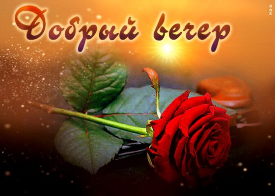 Открытка «Добрый вечер и пожелания»: Добрый вечер: красная роза и пожелание настроения. Тэги: Доброго вечера и хороше…