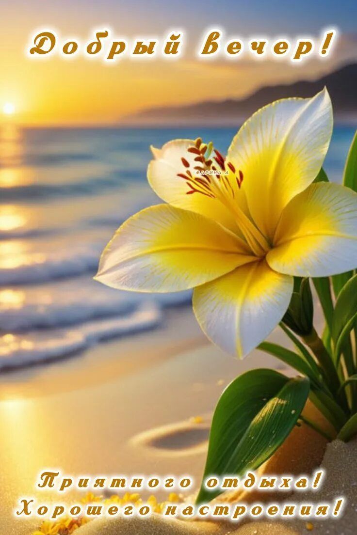 Открытка «Добрый вечер и пожелания»: Добрый вечер! Хорошего настроения у моря. Тэги: Добрый вечер красивые, Доброго л…