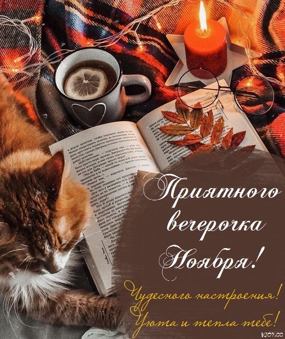 Открытка «Добрый вечер и пожелания»: Добрый вечер: «Уютный ноябрь с котом и чаем». Тэги: Доброго вечера и хорошего на…