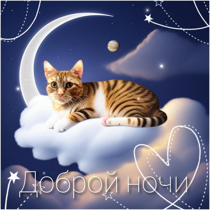Открытка «Доброй ночи»: Доброй ночи: милый кот на облаке. Тэги: Спокойной ночи, Спокойной ночи, с пожеланиями, Доброй…