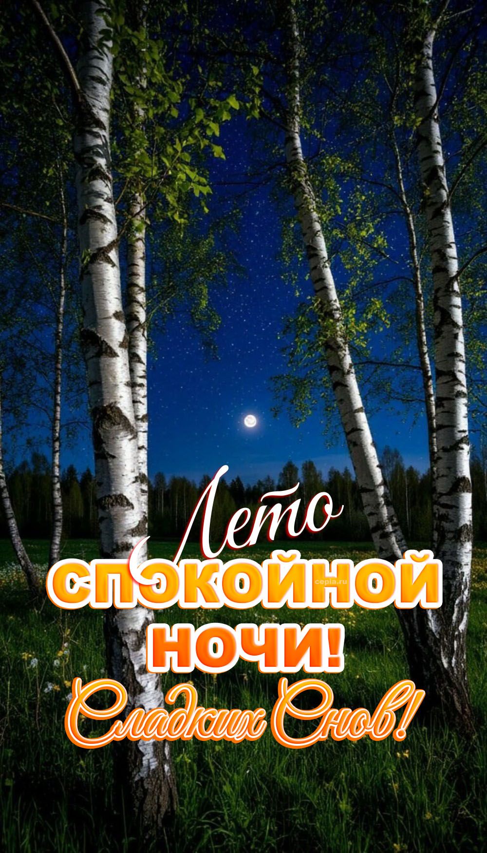 Открытка «Доброй ночи»: Спокойной ночи: открытка «Летняя ночь в березовой роще». Тэги: Спокойной ночи, Спокойной ночи…