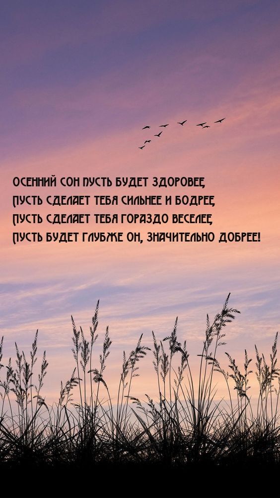 Открытка «Доброй ночи»: Доброй ночи: пожелание здоровья и осенний пейзаж.