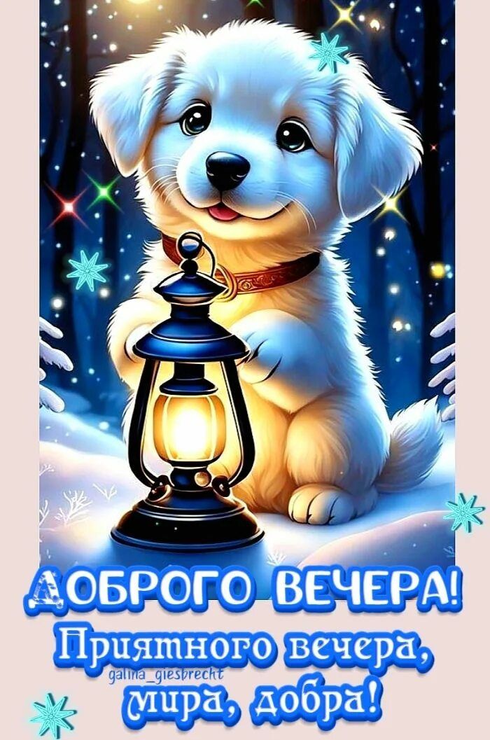Открытка «Добрый вечер и пожелания»: Добрый вечер: милый щенок с фонариком. Тэги: Добрый зимний вечер, Доброго…
