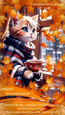 Открытка «Доброй ночи»: Добрый вечер и спокойной ночи: Кот с чаем в листьях. Тэги: Спокойной ночи, Добрый вечер и пож…