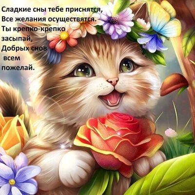 Открытка «Доброй ночи»: Доброй ночи: «Милый котик с розой» и пожелание снов. Тэги: Спокойной ночи, Спокойной ночи…