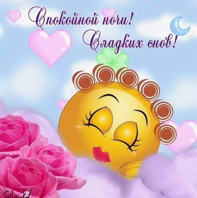 Открытка «Доброй ночи»: Спокойной ночи: «Милое солнце в бигуди» и нежные розы. Тэги: Спокойной ночи, Спокойной ночи…