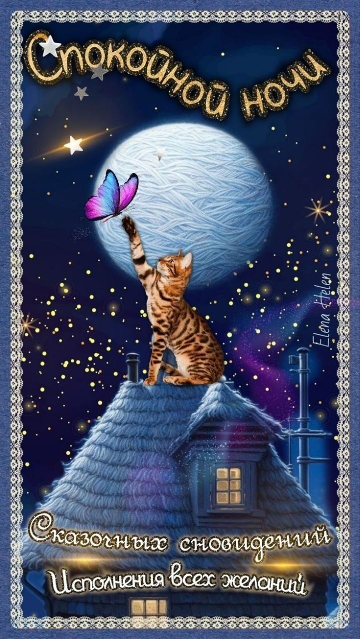 Открытка «Доброй ночи»: Спокойной ночи: Сказочных сновидений с котиком. Тэги: Спокойной ночи, ночной, Спокойной ночи…