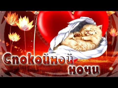 Открытка «Доброй ночи»: Спокойной ночи: «Сонный котик на фоне сердца». Тэги: Спокойной ночи, Спокойной ночи, красивые…