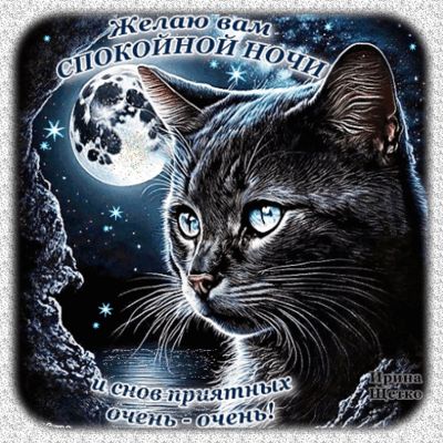 Открытка «Доброй ночи»: Спокойной ночи: открытка с мудрым котом и луной. Тэги: Спокойной ночи, Спокойной ночи, красив…