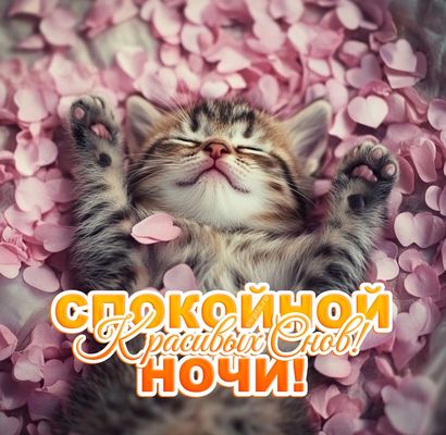 Открытка «Доброй ночи»: Спокойной ночи! Красивая открытка с милым котиком. Тэги: Спокойной ночи, Спокойной ночи…