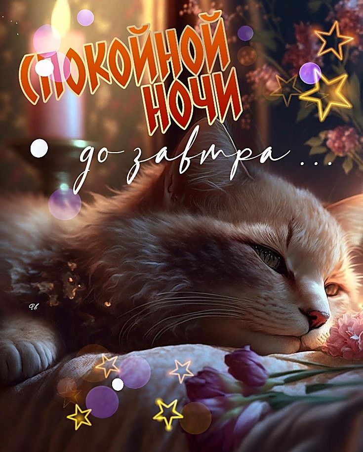 Открытка «Доброй ночи»: Спокойной ночи: «Сонный пушистый кот» с цветами. Тэги: Спокойной ночи, Спокойной ночи, с поже…