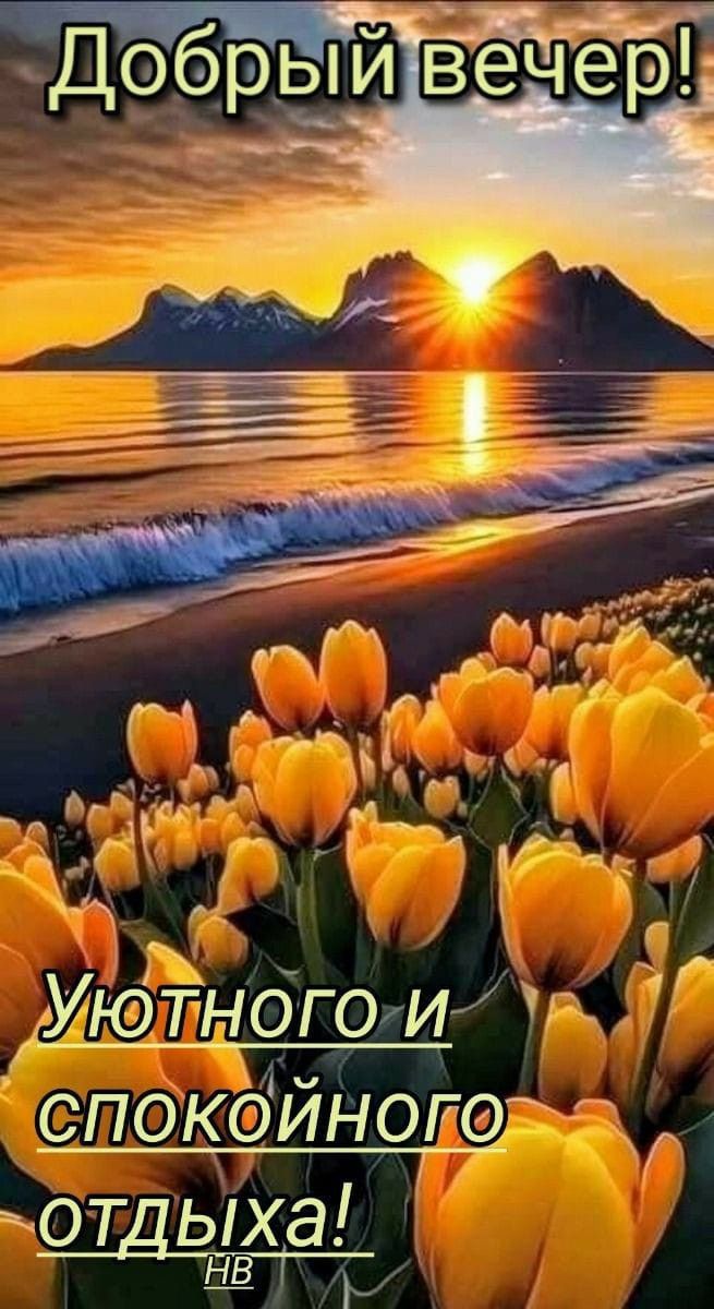 Открытка «Добрый вечер и пожелания»: Добрый вечер: Уютного отдыха и золотой закат. Тэги: Добрый вечер красивые…