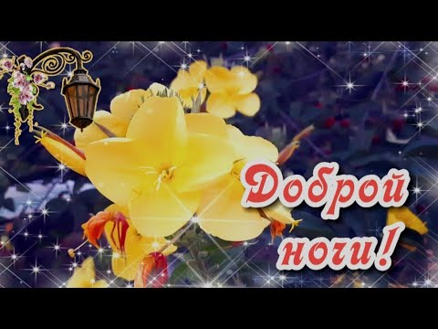 Открытка «Доброй ночи»: Открытка Доброй ночи с желтыми цветами и фонариком. Тэги: Спокойной ночи, Спокойной ночи…