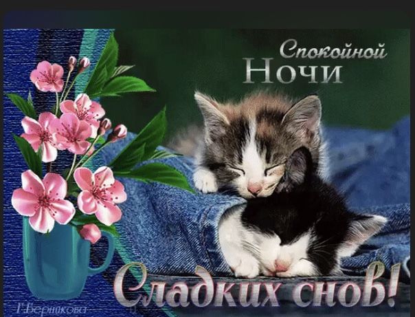 Открытка «Доброй ночи»: Спокойной ночи: открытка «Сладких снов» с милыми котятами. Тэги: Спокойной ночи, Спокойной но…
