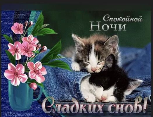 Открытка «Доброй ночи»: Спокойной ночи: открытка «Сладких снов» с милыми котятами. Тэги: Спокойной ночи, Спокойной но…