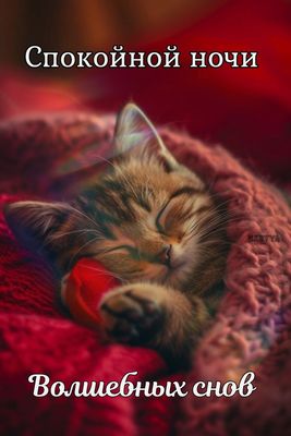 Открытка «Доброй ночи»: Спокойной ночи: милый котенок и волшебные сны. Тэги: Спокойной ночи, Спокойной ночи, с пожела…