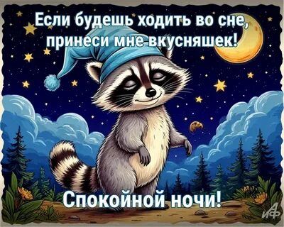 Открытка «Доброй ночи»: Спокойной ночи: прикольный енот для поднятия настроения. Тэги: Спокойной ночи, Для поднятия н…