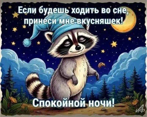 Открытка «Доброй ночи»: Спокойной ночи: прикольный енот для поднятия настроения. Тэги: Спокойной ночи, Для поднятия н…