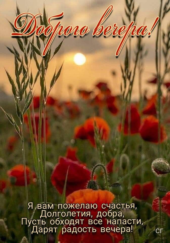 Открытка «Добрый вечер и пожелания»: Добрый вечер: Красивое пожелание счастья и добра. Тэги: Доброго летнего вечера…