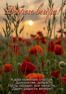 Открытка «Добрый вечер и пожелания»: Добрый вечер: Красивое пожелание счастья и добра. Тэги: Доброго летнего вечера…