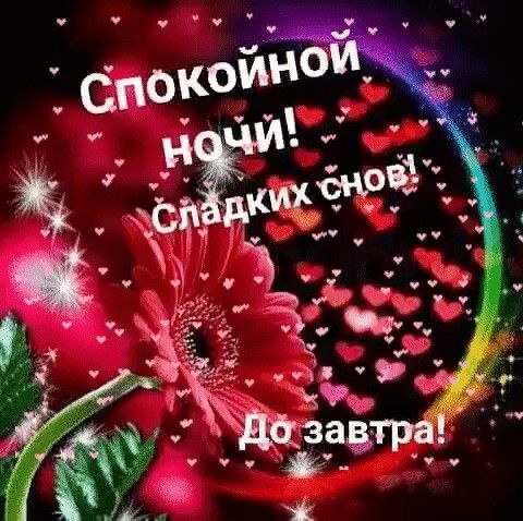 Открытка «Доброй ночи»: Доброй ночи: Сладких снов и нежная гербера. Тэги: Спокойной ночи, Спокойной ночи, красивые…