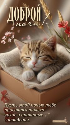 Открытка «Доброй ночи»: Доброй ночи: Милый котенок в окружении цветов. Тэги: Спокойной ночи, Спокойной ночи, красивые…