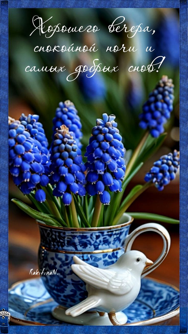 Открытка «Спокойной ночи»: Добрый вечер и спокойной ночи с синими цветами. Тэги: Добрый вечер и пожелания, Добрый веч…