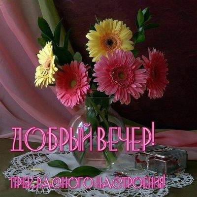 Открытка «Добрый вечер и пожелания»: Добрый вечер и прекрасного настроения с герберами. Тэги: Добрый вечер женщине…