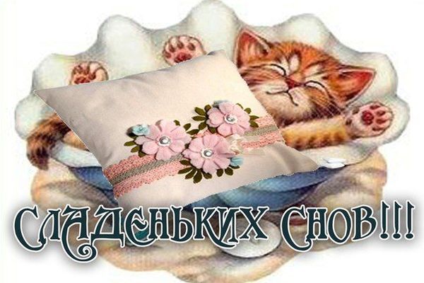 Открытка «Доброй ночи»: Доброй ночи: открытка «Сладеньких снов» с милым котенком. Тэги: Спокойной ночи, Спокойной ночи…