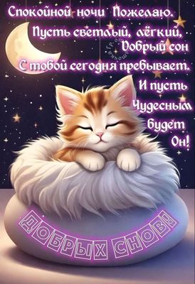 Открытка «Доброй ночи»: Спокойной ночи: милый котик и пожелание добрых снов. Тэги: Спокойной ночи, Спокойной ночи…