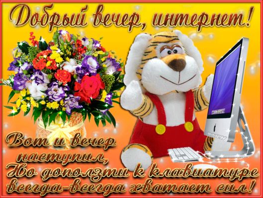Открытка «Добрый вечер и пожелания»: Добрый вечер, интернет! Прикольный тигренок у компьютера. Тэги: Прикольный добры…