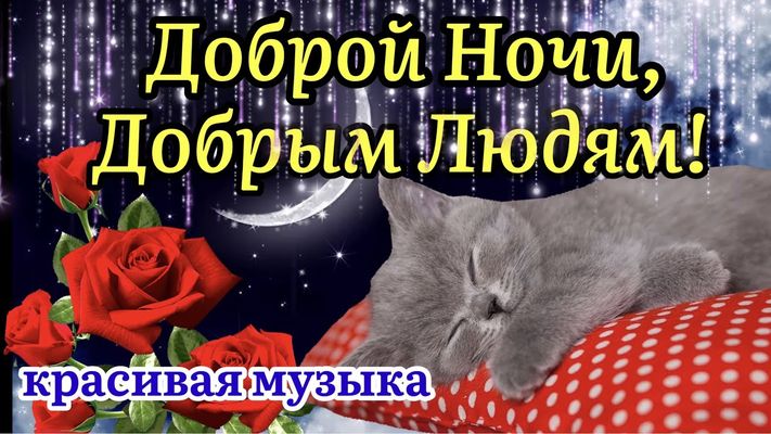 Открытка «Доброй ночи»: Спокойной и доброй ночи: «Сонный котик и розы». Тэги: Спокойной ночи, Спокойной ночи, с пожел…
