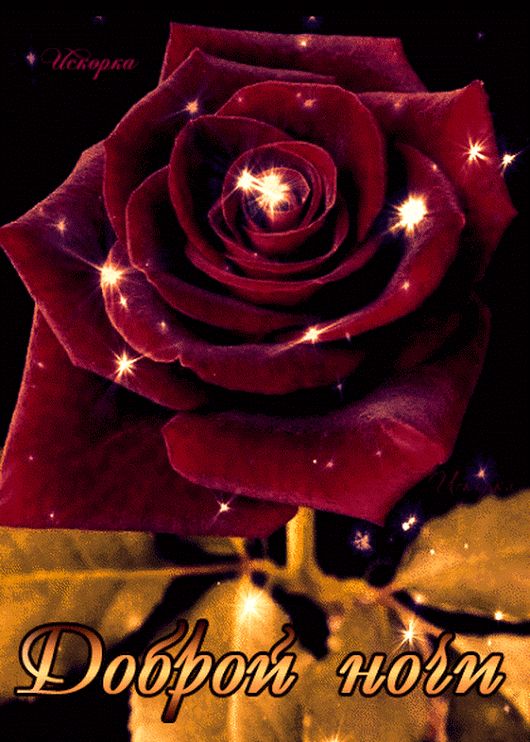 Открытка «Доброй ночи»: Доброй ночи: Нежная бордовая роза с искрами. Тэги: Спокойной ночи, любимая женщина, Спокойной…