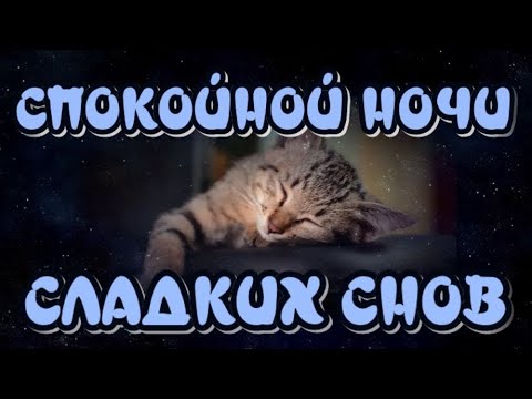 Открытка «Доброй ночи»: Спокойной ночи: милый котик и пожелание сладких снов. Тэги: Спокойной ночи, Спокойной ночи…