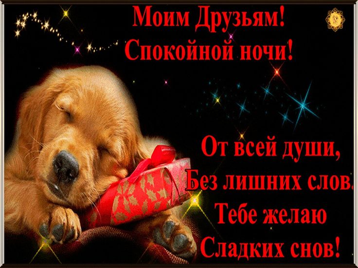 Открытка «Доброй ночи»: Спокойной ночи: Сладких снов моим друзьям. Тэги: Спокойной ночи, ретривер, Спокойной ночи…