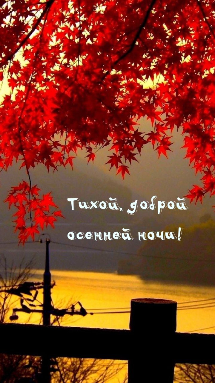 Открытка «Доброй ночи»: Доброй ночи: «Тихой, доброй осенней ночи».