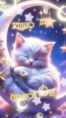 Открытка «Доброй ночи»: Спокойной ночи: «Спящий котик на луне». Тэги: Спокойной ночи, Спокойной ночи, красивые…