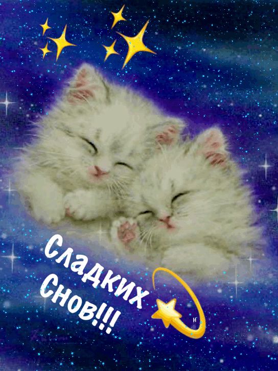 Открытка «Доброй ночи»: Спокойной ночи: Котята под звездным небом. Тэги: Спокойной ночи, Спокойной ночи, с пожеланиями…