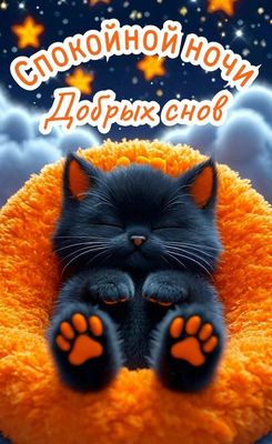 Открытка «Доброй ночи»: Спокойной ночи: черный котенок в оранжевой лежанке. Тэги: Спокойной ночи, Спокойной ночи…