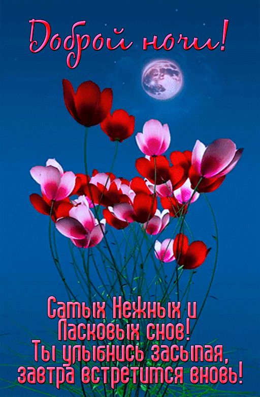 Открытка «Доброй ночи»: Спокойной ночи: Красивые цветы под полной луной. Тэги: Спокойной ночи, Спокойной ночи, с поже…