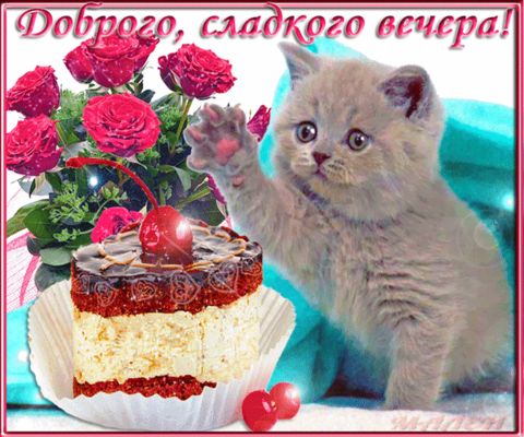 Открытка «Добрый вечер и пожелания»: Добрый вечер: милый котенок, розы и сладкое пирожное. Тэги: Добрый вечер красивые…