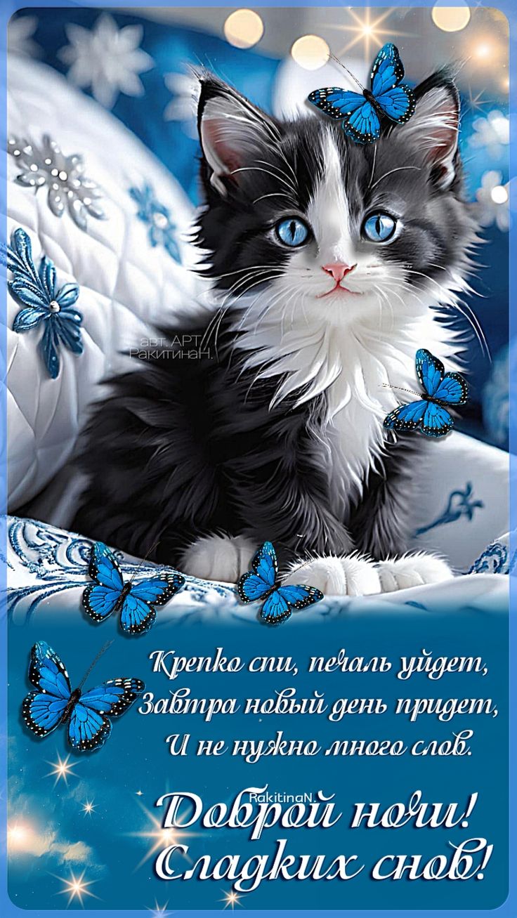 Открытка «Доброй ночи»: Доброй ночи: «Милый котенок с бабочками». Тэги: Спокойной ночи, Спокойной ночи, красивые…