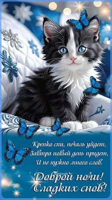 Открытка «Доброй ночи»: Доброй ночи: «Милый котенок с бабочками». Тэги: Спокойной ночи, Спокойной ночи, красивые…