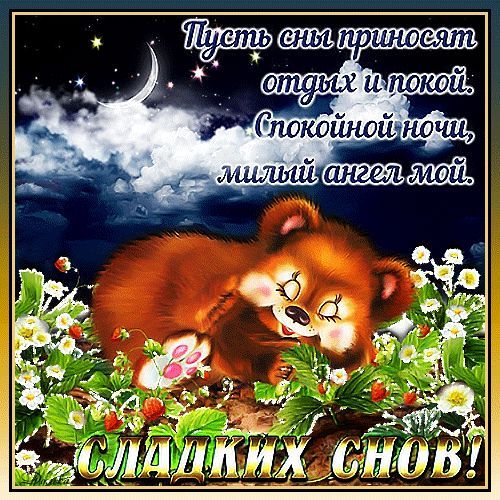 Открытка «Доброй ночи»: Спокойной ночи: Спящий медвежонок и сладкие сны. Тэги: Спокойной ночи, Спокойной ночи, с поже…