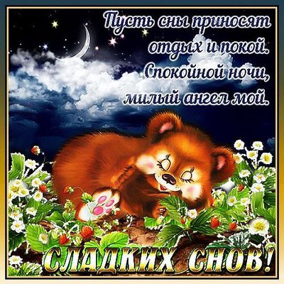 Открытка «Доброй ночи»: Спокойной ночи: Спящий медвежонок и сладкие сны. Тэги: Спокойной ночи, Спокойной ночи, с поже…