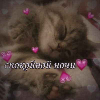 Открытка «Доброй ночи»: Спокойной ночи: милый котенок в сердечках. Тэги: Спокойной ночи, Спокойной ночи, с пожеланиями…