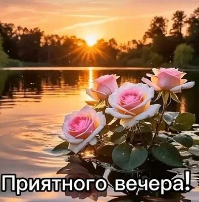 Открытка «Добрый вечер и пожелания»: Добрый вечер: «Розы на закате» у озера. Тэги: Добрый вечер красивые, Доброго лет…