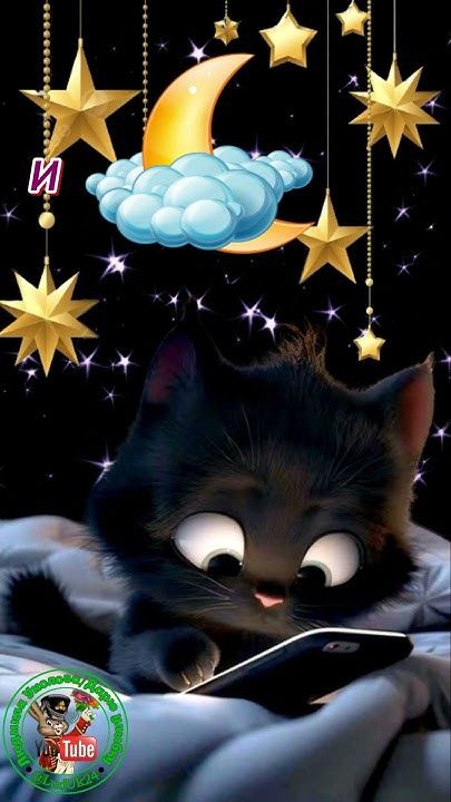 Открытка «Доброй ночи»: Спокойной ночи: черный котик со смартфоном. Тэги: Спокойной ночи, Спокойной ночи, с пожелания…