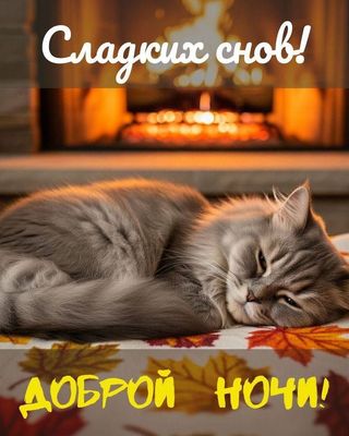 Открытка «Доброй ночи»: Доброй ночи: пушистый кот у камина. Тэги: Спокойной ночи, Спокойной ночи, с пожеланиями…