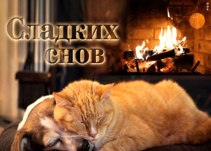 Открытка «Доброй ночи»: Спокойной ночи: Сладких снов у камина с котом и собакой. Тэги: Спокойной ночи, Спокойной ночи…
